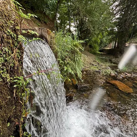 A Vossa Casa Figueiro Dos Vinhos