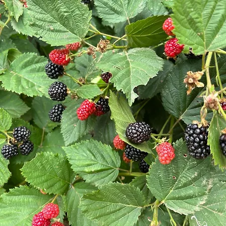 A Vossa Casa Figueiro Dos Vinhos
