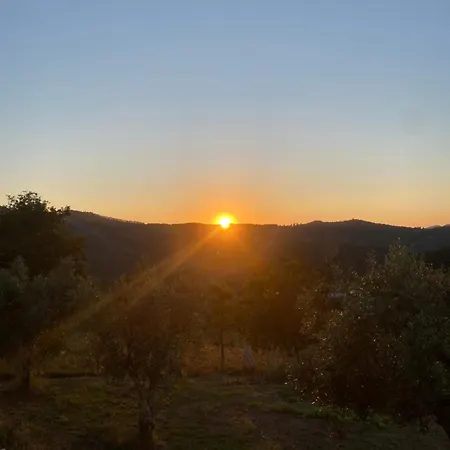 A Vossa Casa * Figueiro Dos Vinhos