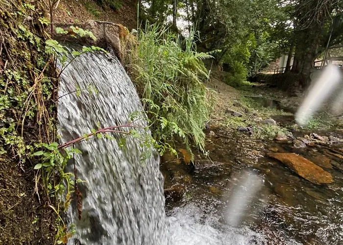A Vossa Casa フィゲイロー・ドス・ヴィーニョス