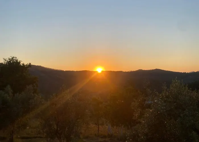 A Vossa Casa * フィゲイロー・ドス・ヴィーニョス